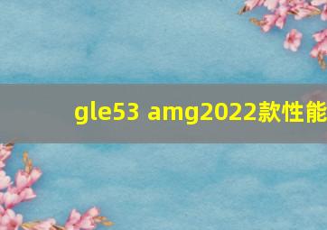 gle53 amg2022款性能